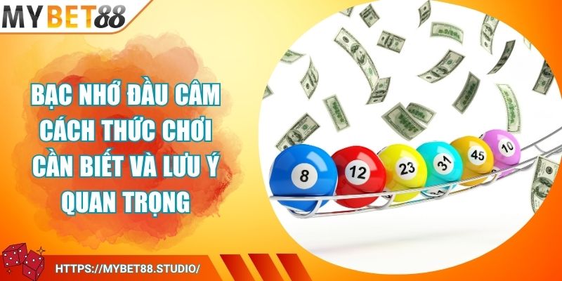 Bạc Nhớ Đầu Câm Cách Thức Chơi Cần Biết Và Lưu Ý Quan Trọng