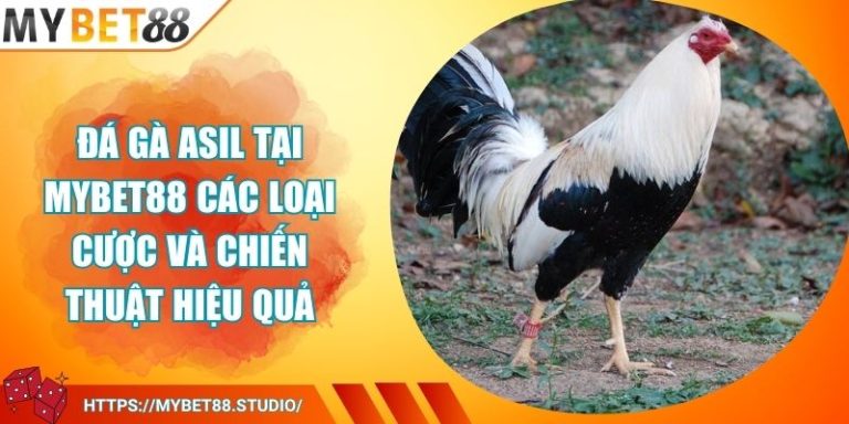 Đá Gà ASIL Tại MYBET88 Các Loại Cược Và Chiến Thuật Hiệu Quả