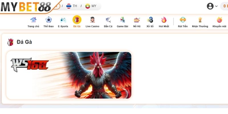 Khám phá sảnh Đá Gà MYBET88 Khám phá sảnh Đá Gà MYBET88