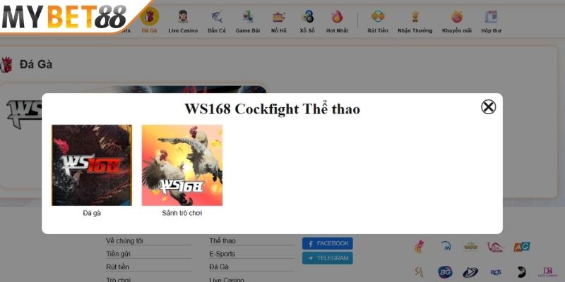 Loại hình truyền thống Loại hình truyền thống
