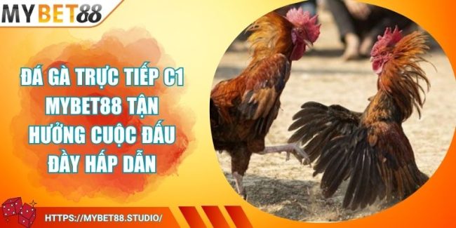 Đá Gà Trực Tiếp C1 MYBET88 Tận Hưởng Cuộc Đấu Đầy Hấp Dẫn