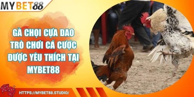 Gà Chọi Cựa Dao Trò Chơi Cá Cược Được Yêu Thích Tại MYBET88